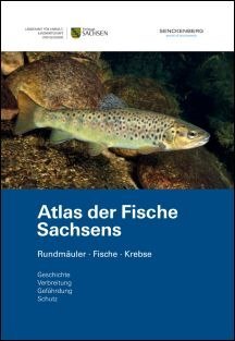 Das Bild zeigt den Titel des Buches Atlas der Fische Sachsens