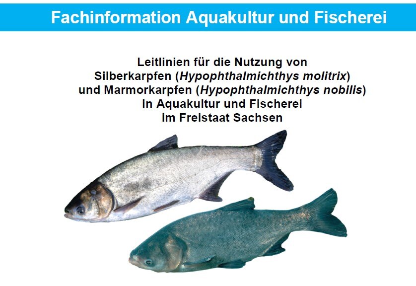 Titelbild der Leitlinie zur Nutzung von Silber- und Marmorkarpfen