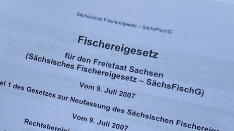 Vorschaubild Fischereigesetz