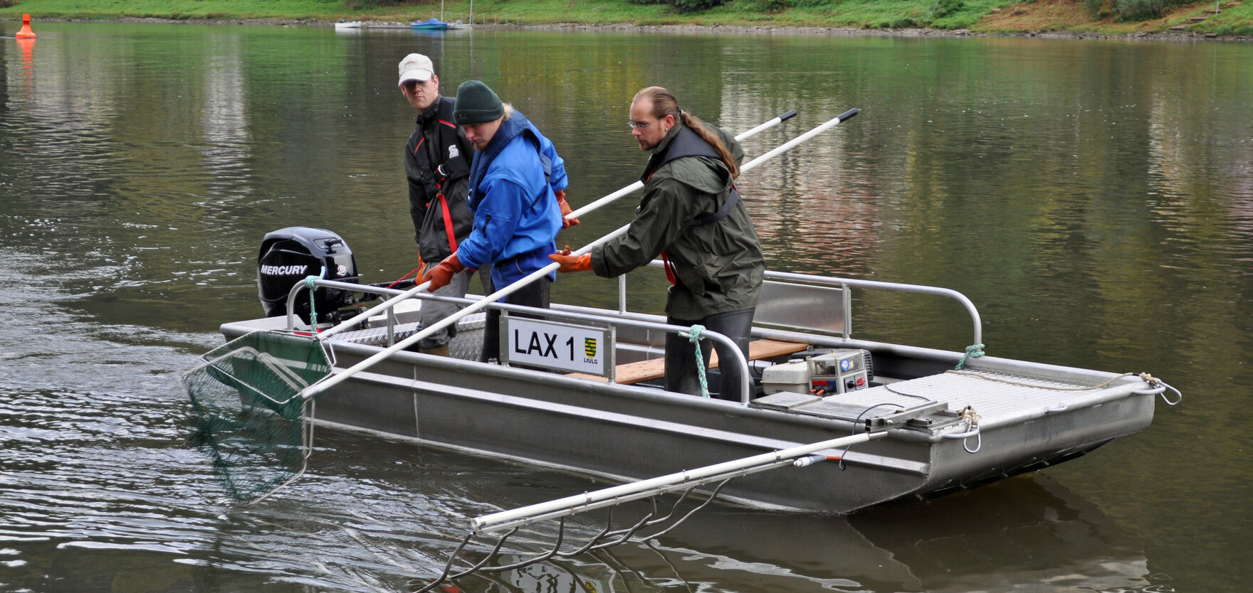 Fischbestandsuntersuchung auf der Elbe mittels Elektro-Befischung