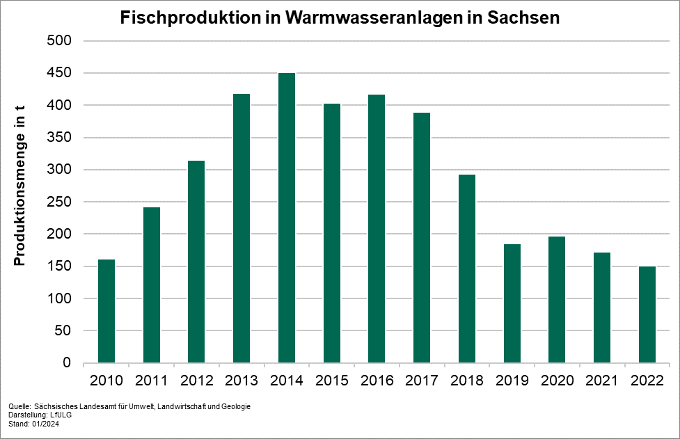 Dargestellt wird die Fischproduktion in Sachsen. Der höchste Wert wurde 2014 mit 451 t erreicht. Danach ist ein Rückgang zu verzeichnen. Aktuell stagniert die Erzeugung. Ursachen sind u.a steigenden Energiekosten und nichtplanbare Wasserdargebote.