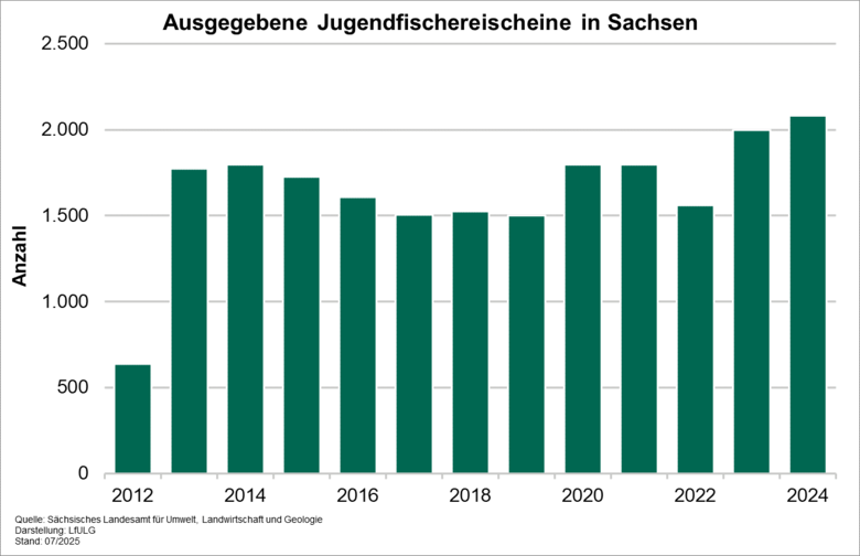 Das Diagramm zeigt die Anzahl der in Sachsen ausgegebenen Jugendfischereischeine. In den vergangenen Jahren ist ein kontinuierlicher Anstieg der ausgestellten Scheine zu verzeichnen, wobei im Jahr 2024 wieder mehr als 2.000 Jugendfischereischeine ausgegeb