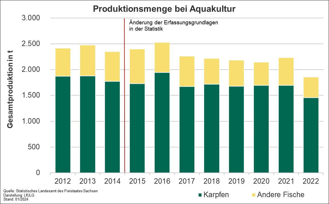Das Diagramm zeigt die Produktionsmenge bei Aquakulturen in Sachsen. Die Karpfen machen einen Anteil von über 70 % der Gesamtmenge aus. In den letzten 3 Jahren lag die Produktionsmenge im Mittel bei 2222 t.