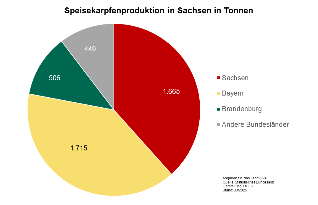 Das Diagramm zeigt die erzeugte Menge an Speisekarpfen in Tonnen in 2024 in Deutschland. Sachsen seht bei der Produktion an Speisekarpfen an zweiter Stelle mit 1.600 Tonne pro Jahr.