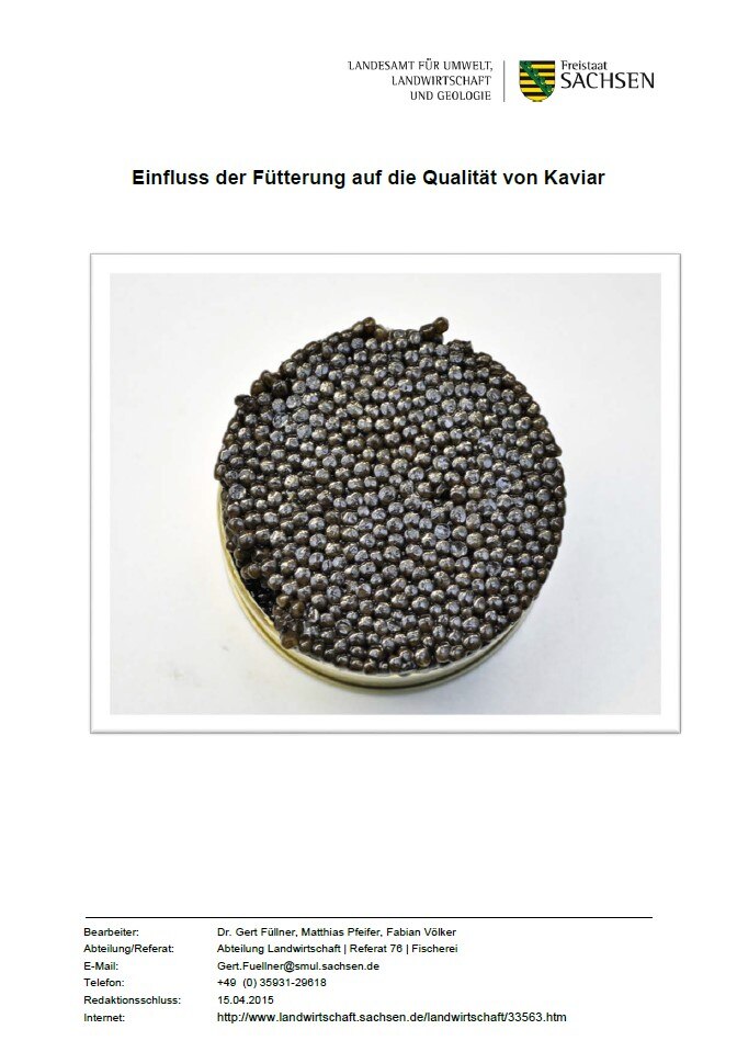 Das Bild zeigt den Titel der Broschüre Einfluss der Fütterung auf die Qualität von Kaviar
