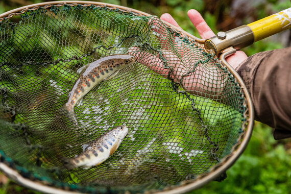 Teaserbild Fachtag 2026