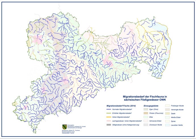 Darstellung der Karte Migrationsbedarf der Fischfauna in sächsischen Fließgewässwern