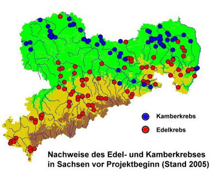 Karte der Nachweise von Edel- und Kamberkrebsen