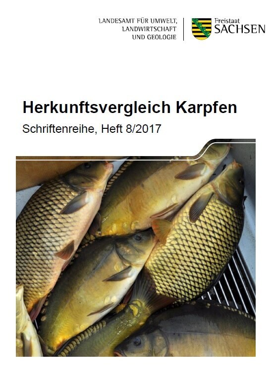 Das Bild zeigt den Titel der Broschüre Herkunftsvergleich Karpfen