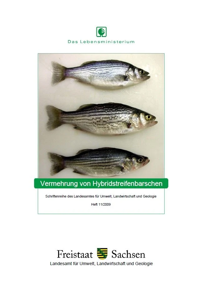Das Bild zeigt den Titel der Broschüre Vermehrung von Hybridstreifenbarschen, Heft 11/2009