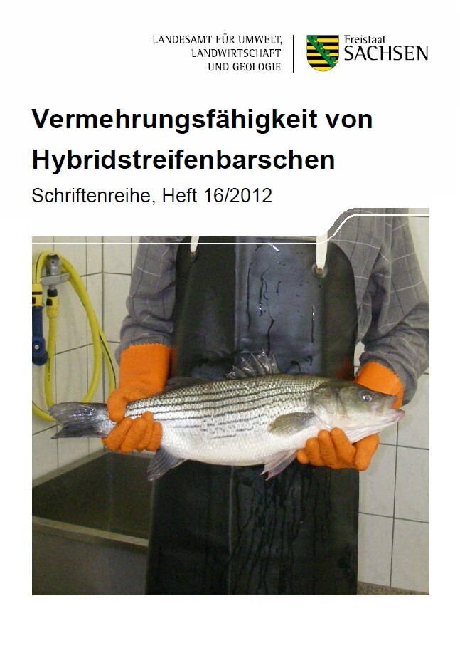 Das Bild zeigt den Titel der Broschüre Vermehrungsfähigkeit von Hybridstreifenbarschen, Heft 16/2012