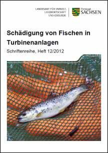 Das Bild zeigt den Titel der Broschüre Schädigung von Fischen in Turbinenanlagen