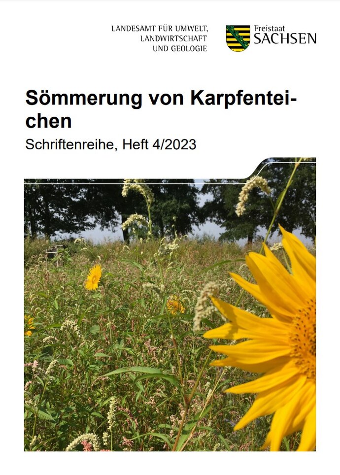 Titelbild Projektbericht Sömmerung von Karpfenteichen Teil 2