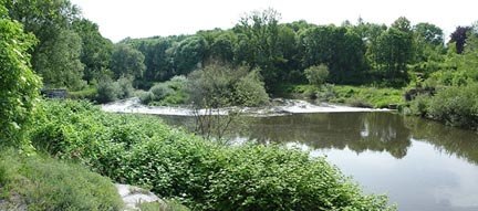 Fluss- und Auenlandschaft